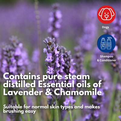 Aussie Pooch Lavender Conditioner for Dogs - 250ml