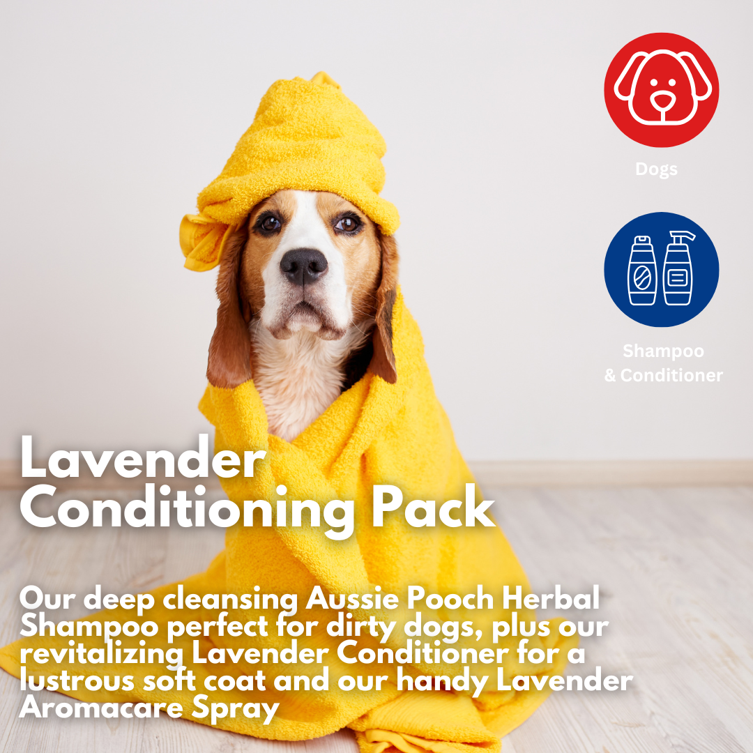 Aussie Pooch Lavender Bliss Conditioning Dog Shampoo Bundle– Calming & Soothing Care