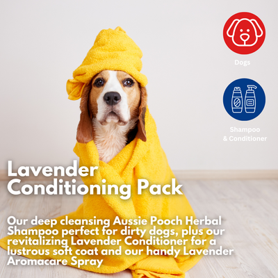 Aussie Pooch Lavender Bliss Conditioning Dog Shampoo Bundle– Calming & Soothing Care