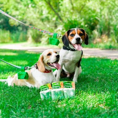 Compost-A-Pak Biodegradable Dog Waste Bags - Eco-Friendly & Compostable pack of 3