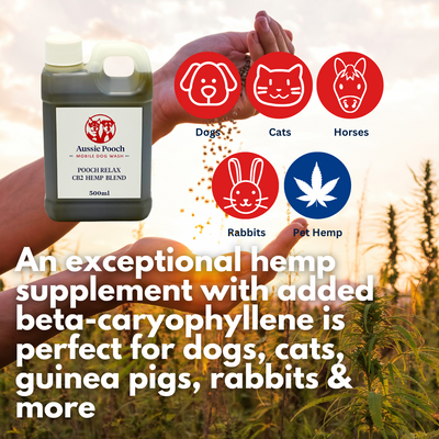 APM Naturals Pooch Relax CB2 500ml