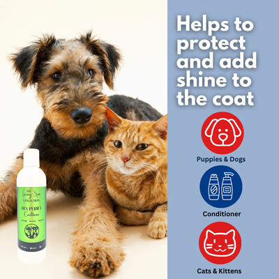 Aussie Pooch Luxury Spa DLX Purify Grooming Shampoo & Conditioner Bundle – Emphasises purifying & revitalising properties, ideal for deep cleansing