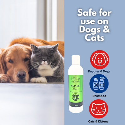 DLX Purify Shampoo 250ml