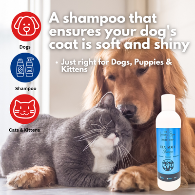 DLX Soft Shampoo 250ml