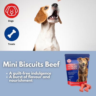 Aussie Pooch Mini Biscuits 500g - Beef