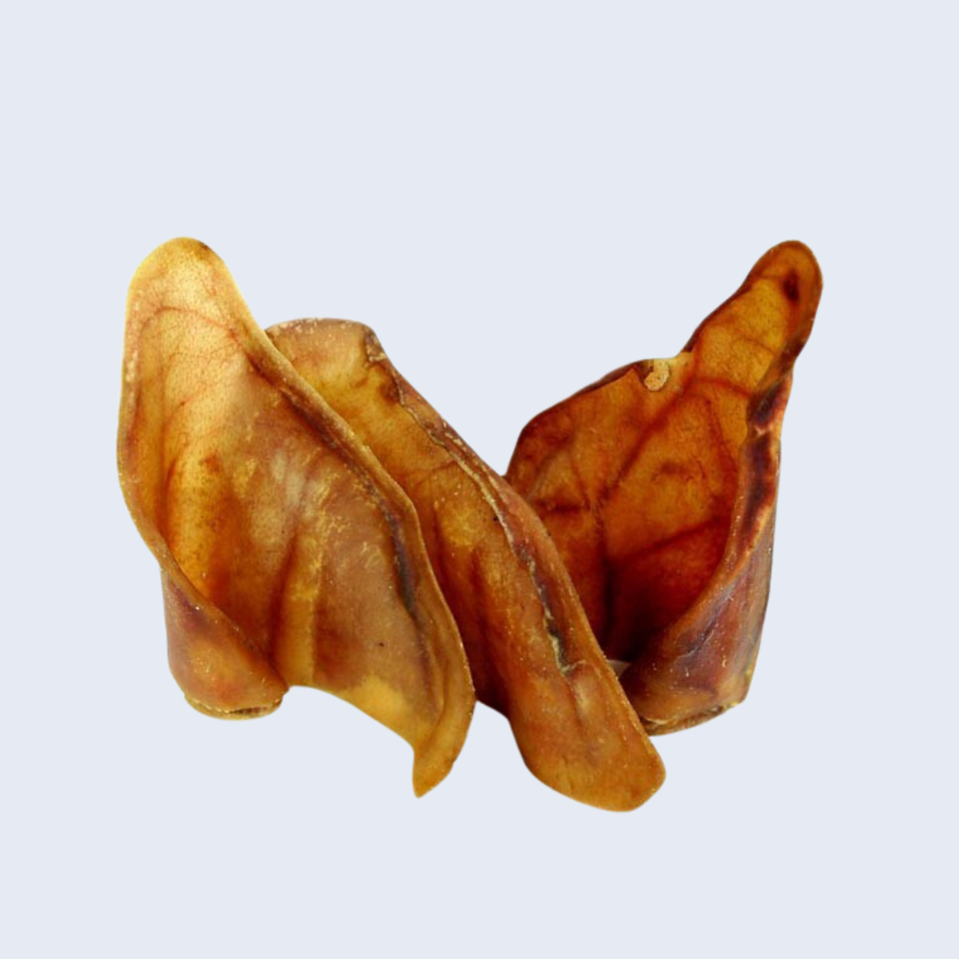 Pigs Ears 10 pack