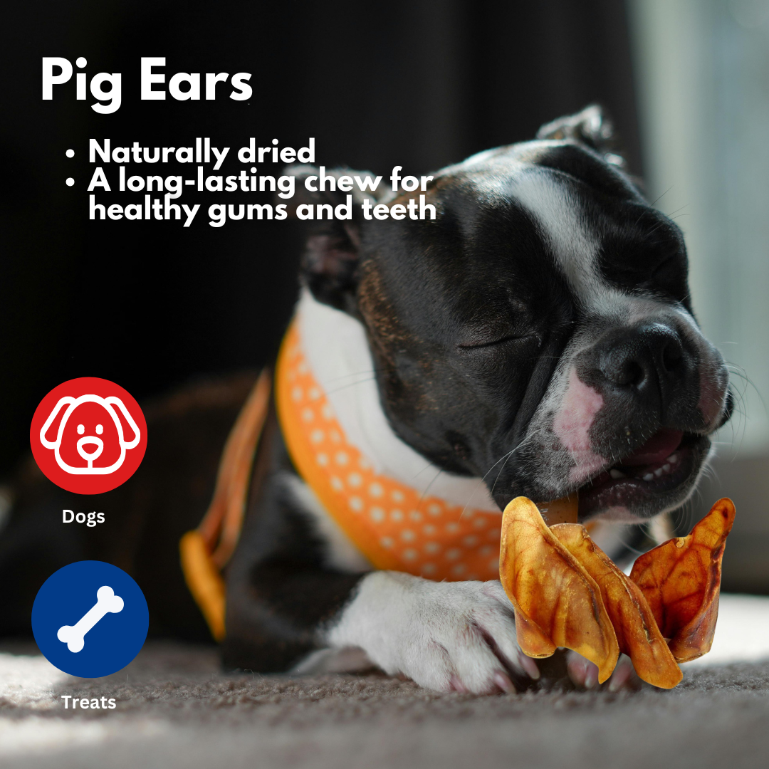 Pigs Ears 10 pack