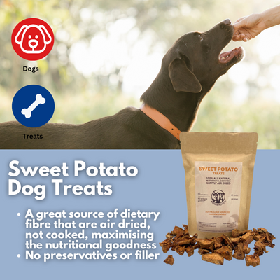Sweet Potato Dog Treats 250g