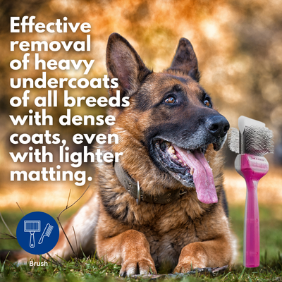 Activet Brush Single Purple/Silver Tuff Finish