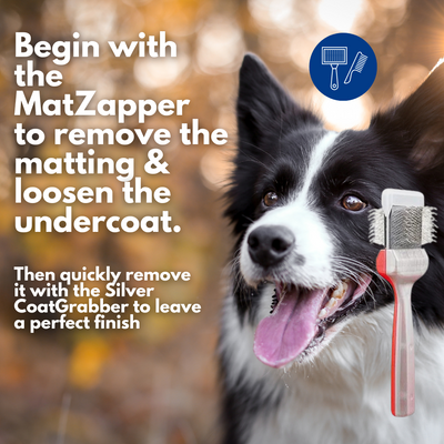 Activet Brush Single Red/Silver Undercoater