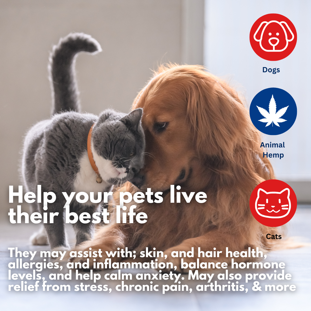 CB2 oil for Dogs 15ml + Pet Hemp XL 500ml bundle