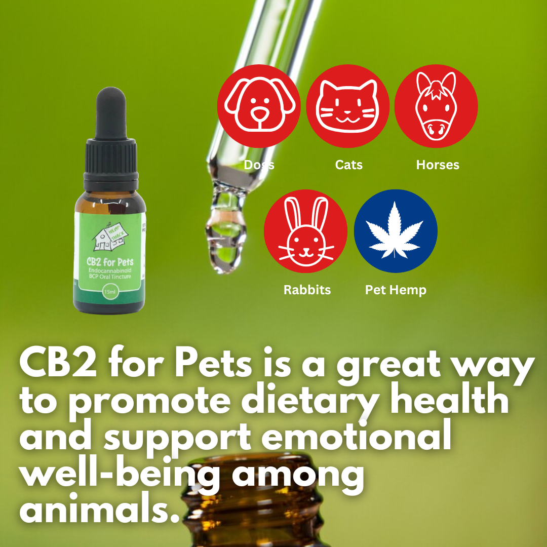 CB2 Oil For Pets 15ml