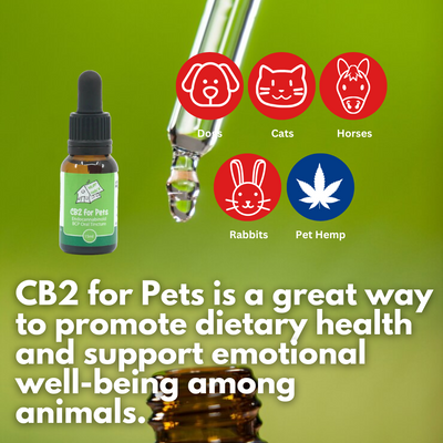 CB2 Oil For Pets 15ml