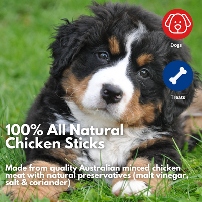 Chicken Sticks All Natural Dog Treats 15 pack