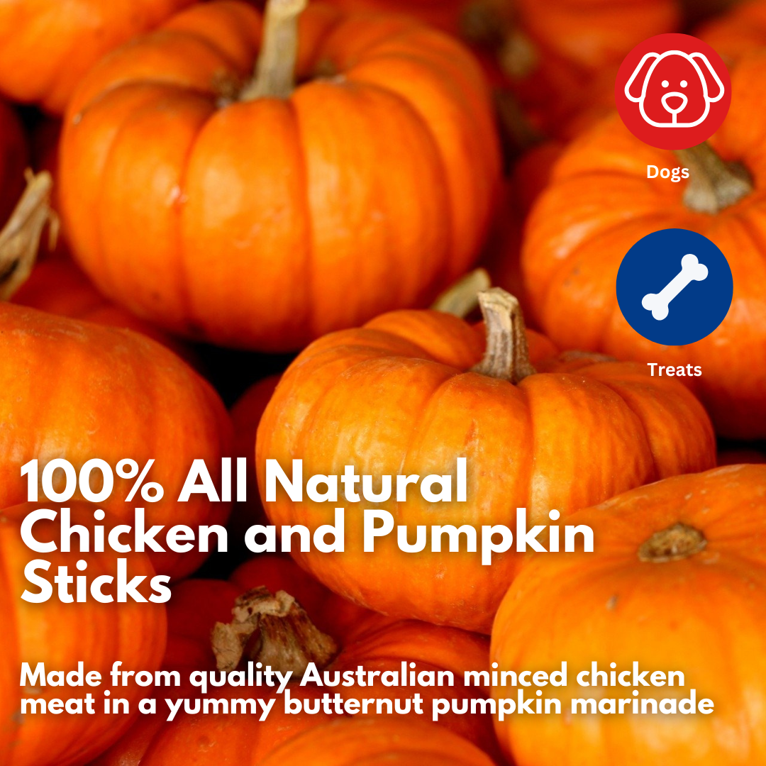 Chicken & Pumpkin Sticks 100% Natural Dog Treat (15 pack)