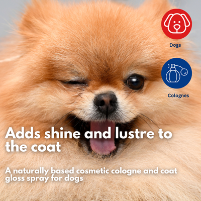 Coconut Cologne Coat Shine 35ml Bundle 3pk