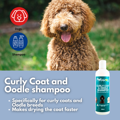 Curly Coat and Oodle shampoo 250ml