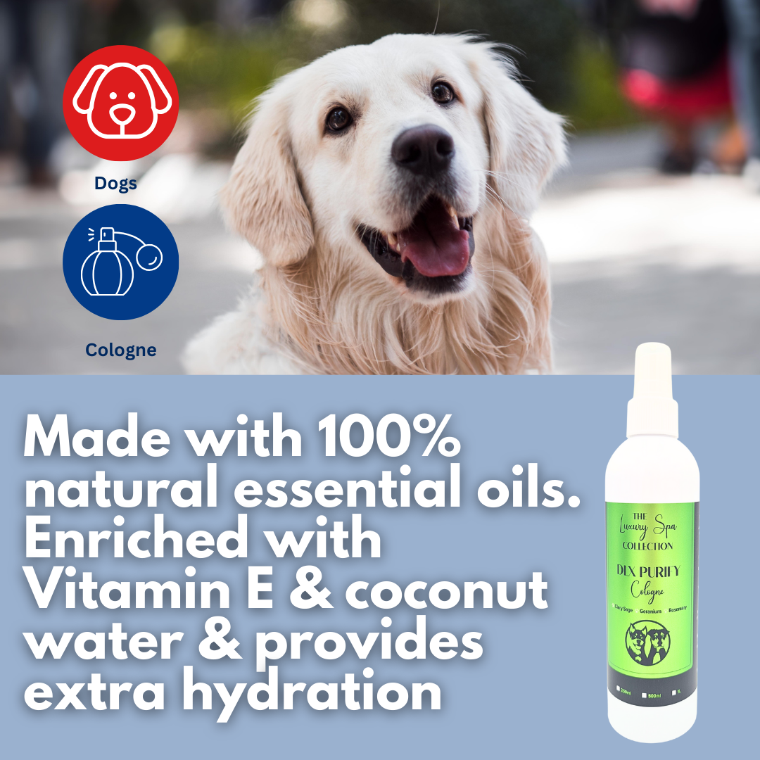 DLX Purify Cologne 250ml