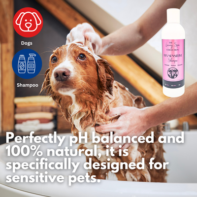 DLX Sensitive Shampoo 250ml