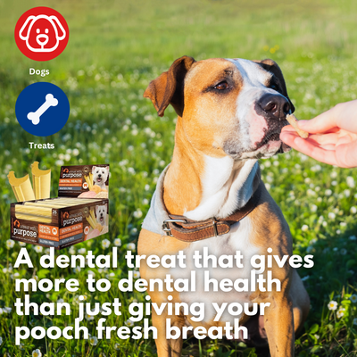 Dental Chew - Chicken with Rice & Potato (Single)