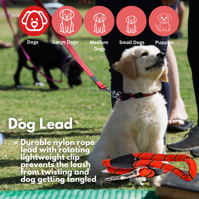 Dog Lead 120cm