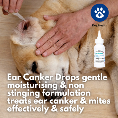 Ear Canker Drops 50ml