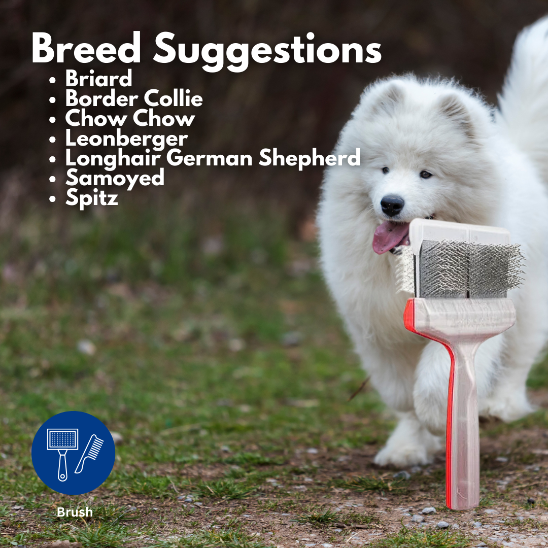 Activet Brush Duo Red/Silver Undercoater