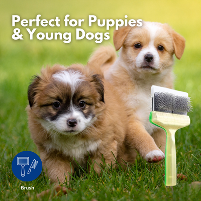 Activet Brush Duo Green/Gold Silcoater