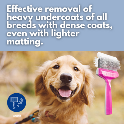 Activet Brush Duo Purple/Silver Tuff Finish