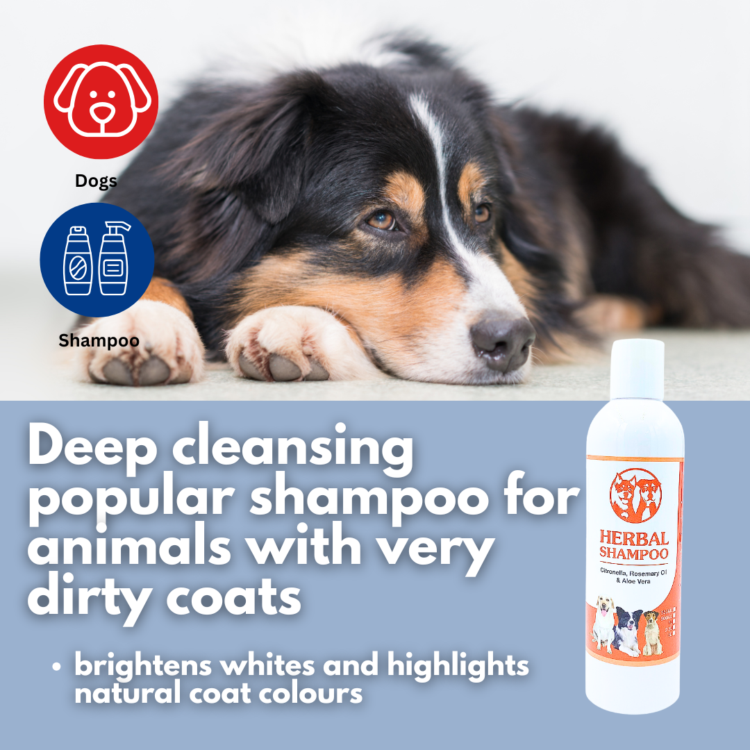 Herbal Shampoo 250ml