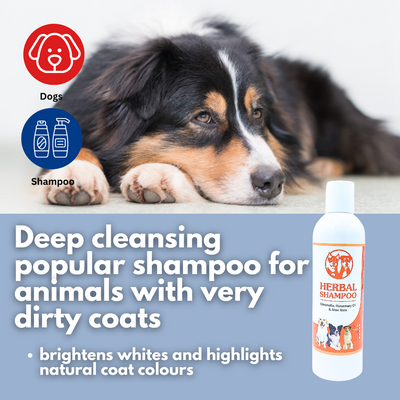 Aussie Pooch Herbal Revive Dog Shampoo Bundle – Nourishing & Natural