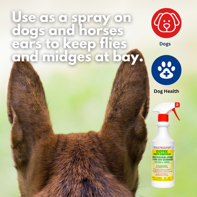 Insecticidal Spray & Pine Oil Cleanser 500ml