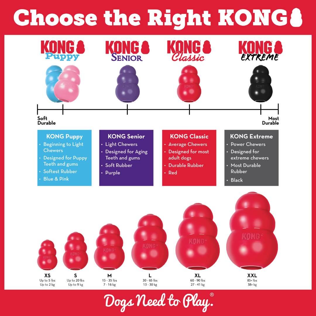 KONG Classic Medium