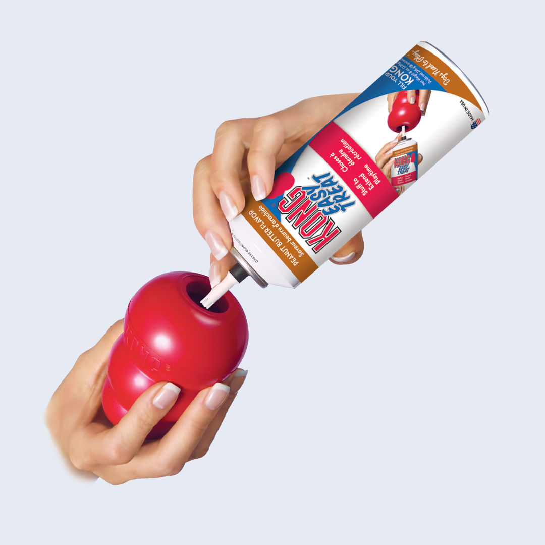 KONG Classic Large