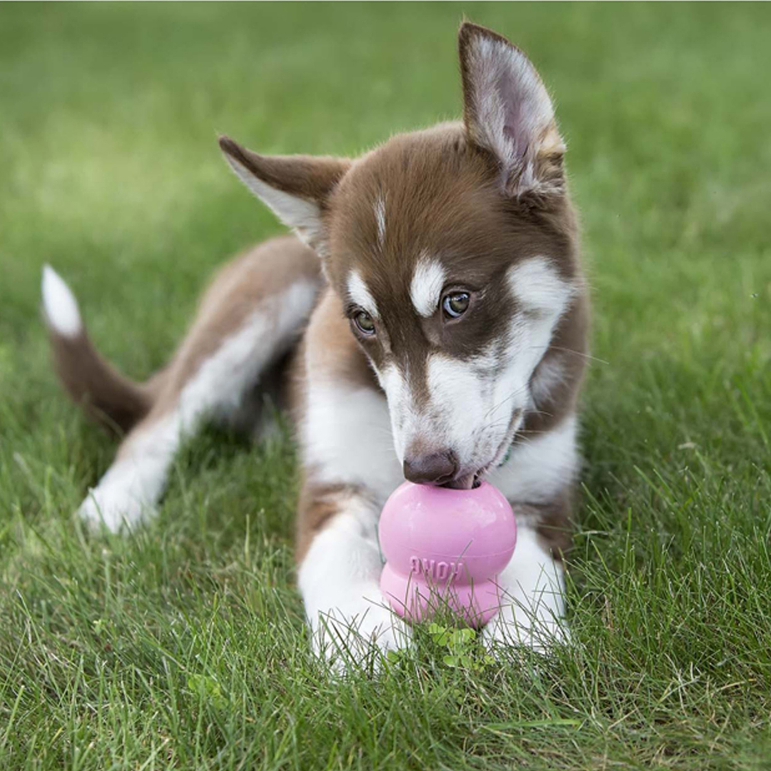 KONG Puppy Large