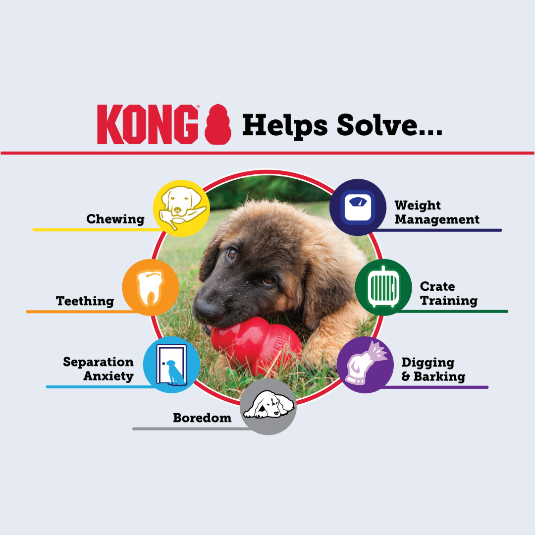 KONG Puppy Medium