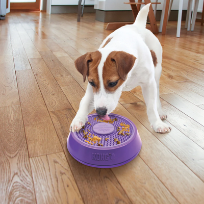 KONG Licks Spinz Small