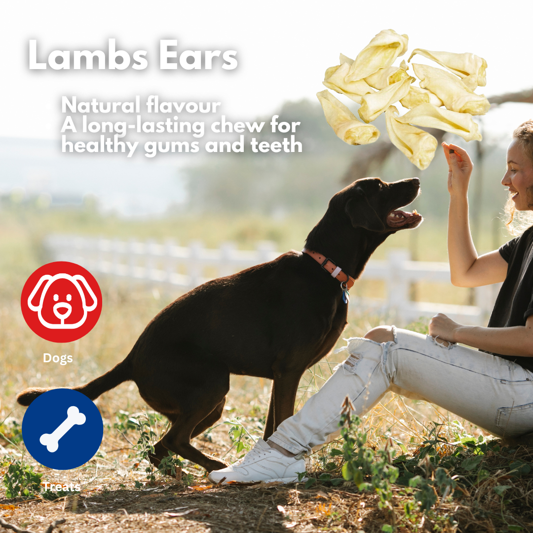 Lamb Ears 10 pack