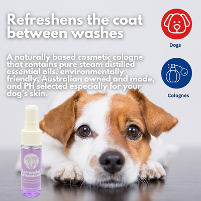 Lavender Aromacare 35ml Bundle 3pk