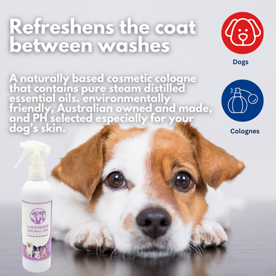 Lavender Aromacare Spray 250ml