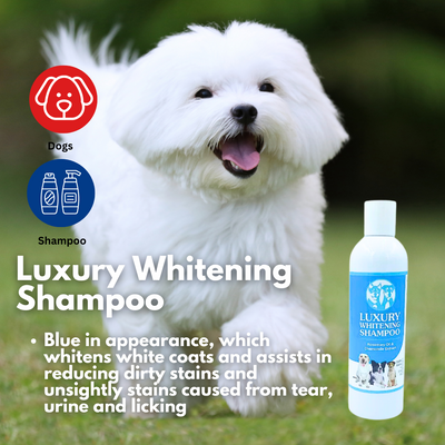 Aussie Pooch Luxury Shampoo for Dogs - 250ml