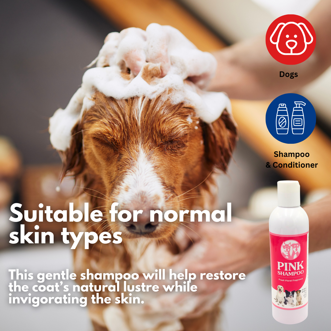 Aussie Pooch Fresh Coat Conditioning Dog Wash Bundle – Shine & Softness Formula