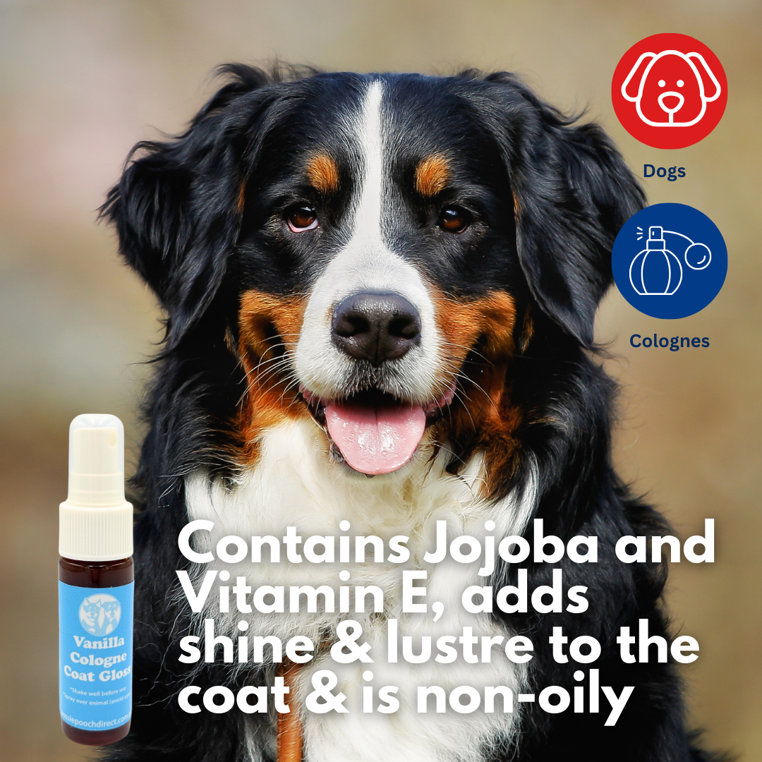 Aussie Pooch Pink Glow Dog Shampoo Bundle – Radiance & Hydration Blend