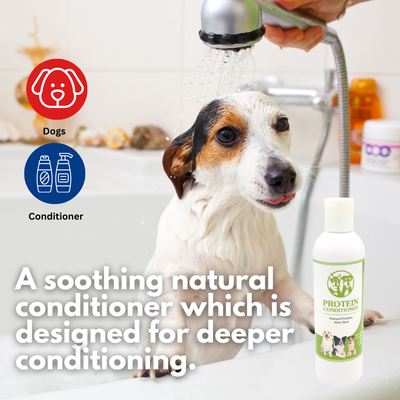 Aussie Pooch Protein Boost Dog Shampoo & Conditioner Bundle – Strengthening Formula