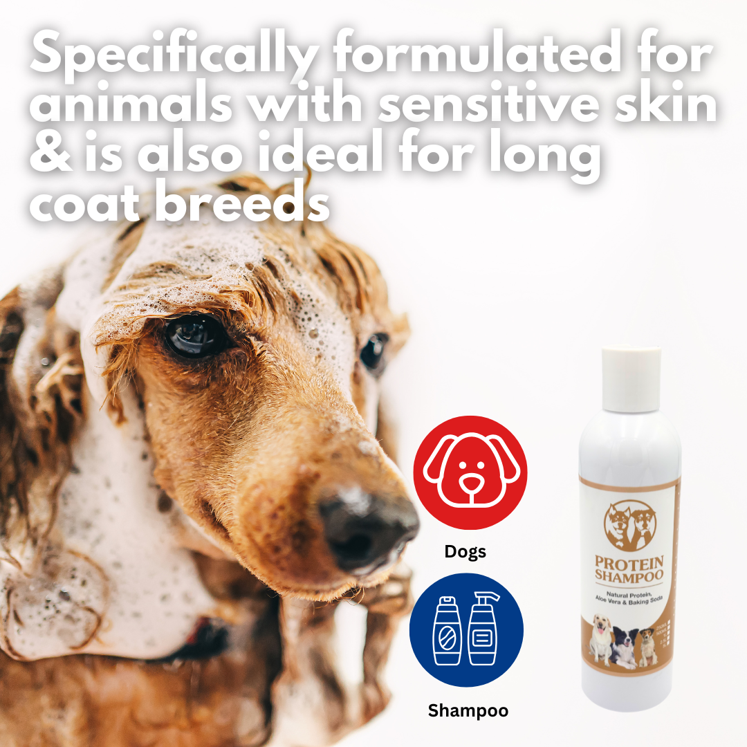 Protein Shampoo 250ml