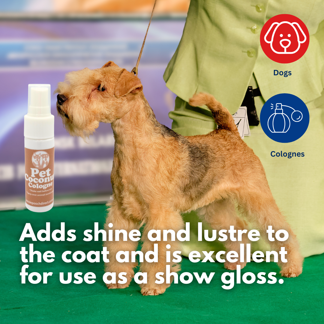 Aussie Pooch Protein Boost Dog Shampoo & Conditioner Bundle – Strengthening Formula