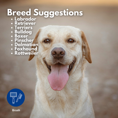 Refuresh Small size Gentle Deshedding Brush Tool for Pets with Short/Medium Hair