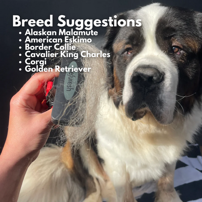 Refuresh Large size Gentle Deshedding Brush Tool for Pets with Long Hair