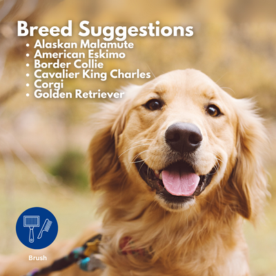 Refuresh Medium size Gentle Deshedding Brush Tool for Pets with Long Hair