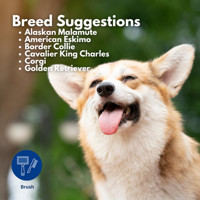 Refuresh Small size Gentle Deshedding Brush Tool for Pets with Long Hair